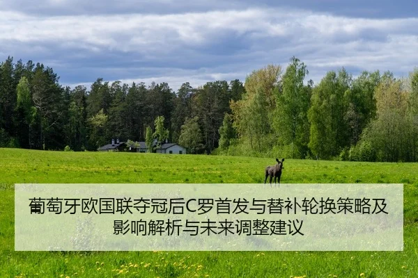 pu-tao-ya-ou-guo-lian-duo-guan-hou-luo-shou-fa-yu-ti-bu-lun-huan-ce-lve-ji-ying-xiang-jie-xi-yu-wei-lai-tiao-zheng-jian-2-365.jpg